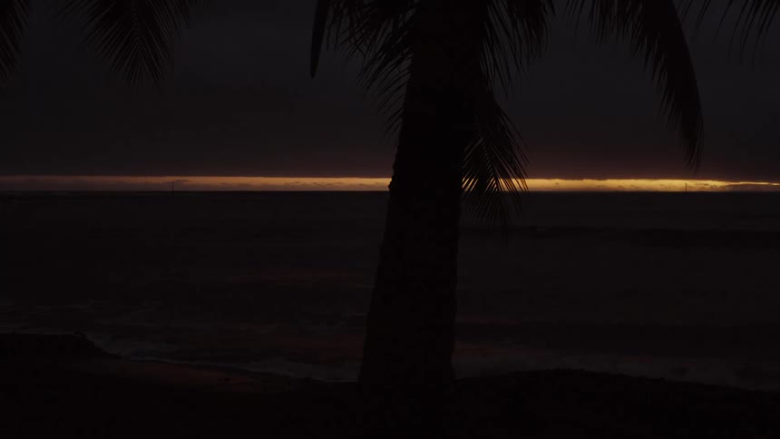 A golden sliver of sunrise peeks over the horizon as ocean waves lap against the shore behind a silhouetted palm tree