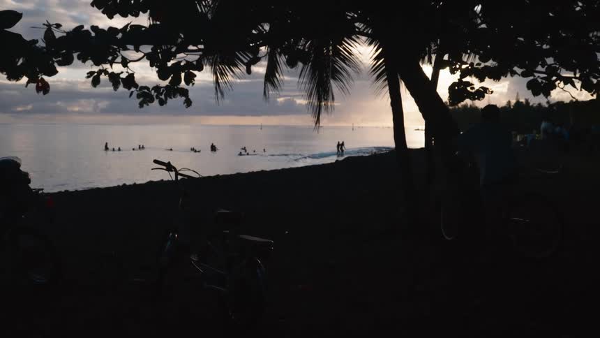 A serene beach scene at sunset with silhouetted surfers in the ocean and bicycles parked under a palm tree