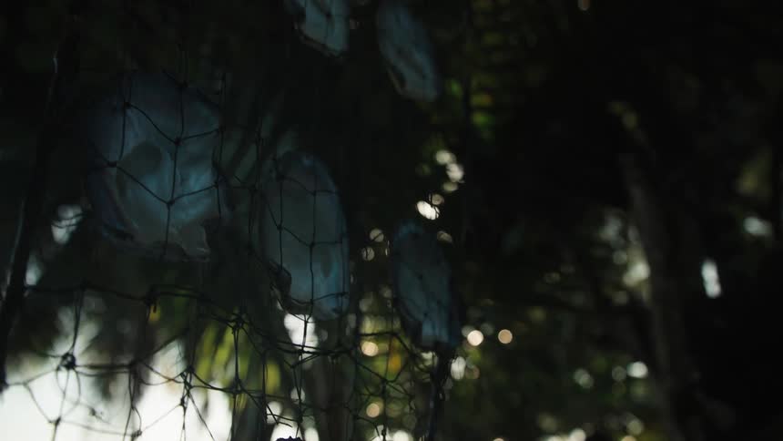 A net filled with creepy human skulls hangs in a dark, mysterious jungle