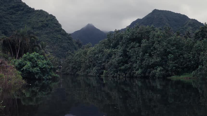 A tranquil view of a dark river reflecting a lush jungle with misty mountains in the distance on a cloudy day