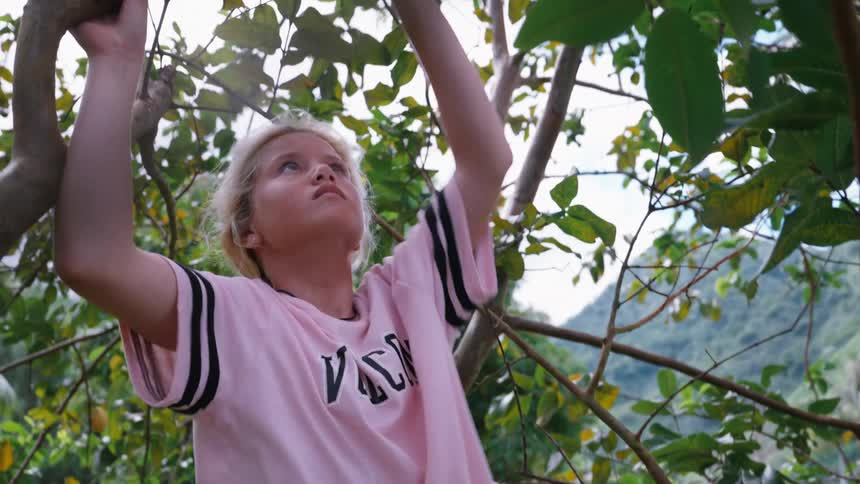 A young blonde girl climbs a tree in a lush tropical environment and carefully picks a fresh piece of fruit