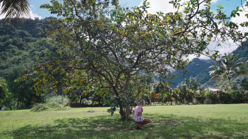 A blonde woman in a pink shirt meditates peacefully in the shade of a large tree in a sun-dappled tropical park