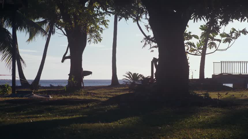 A silhouetted surfer carrying a surfboard walks along a tropical shoreline in the warm morning light