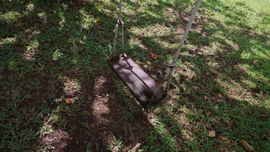 A lonely wooden swing hanging from a tree sways slowly in the dappled sunlight of a green park
