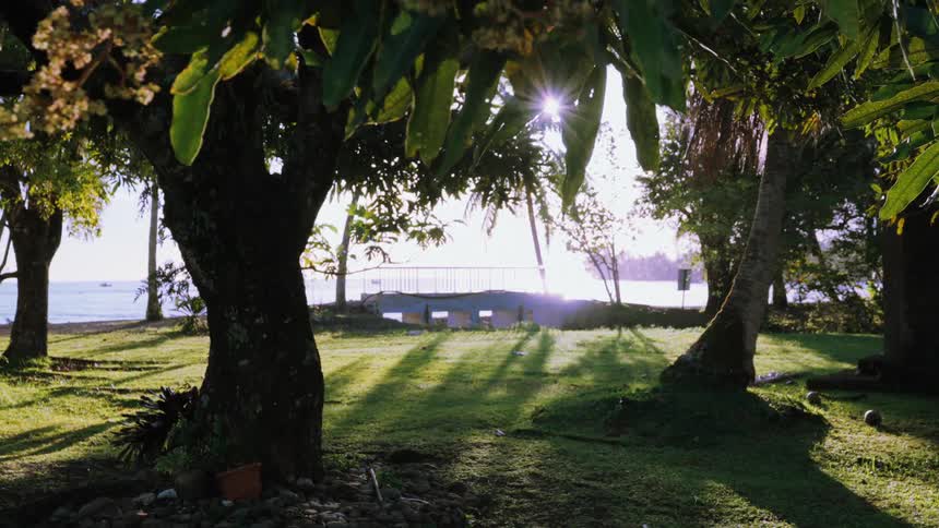 Golden hour sunlight filters through tropical trees onto a grassy yard overlooking the ocean