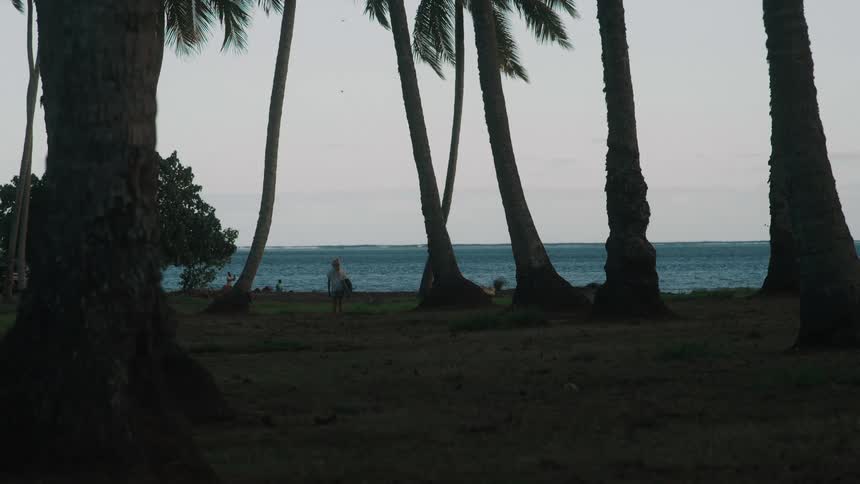 A surfer holding her board stands among silhouetted palm trees looking out at the ocean at dawn