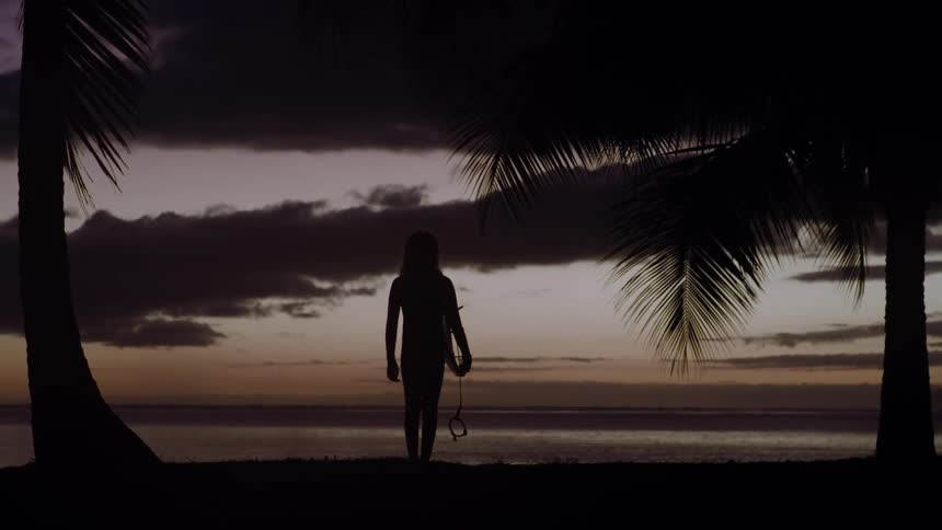 A lone surfer stands silhouetted between palm trees, looking out at the ocean during a peaceful sunset