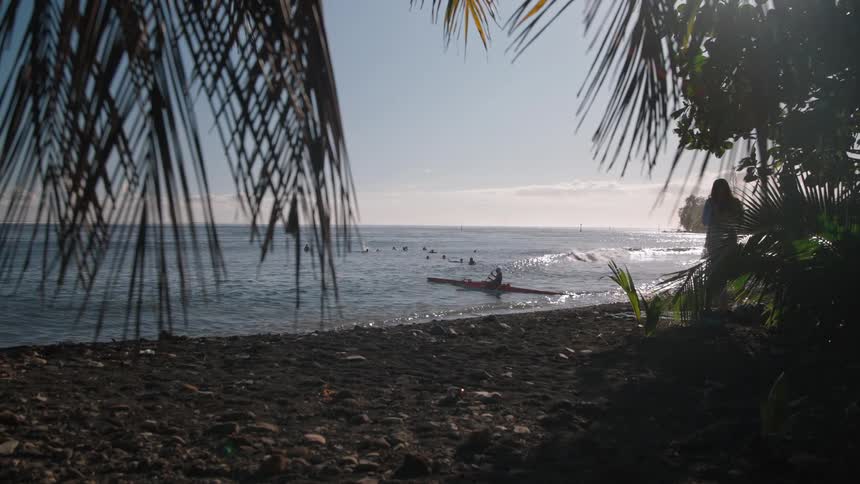 A serene tropical scene unfolds with a kayaker on the water, viewed from a shaded, dark sand beach with palm fronds
