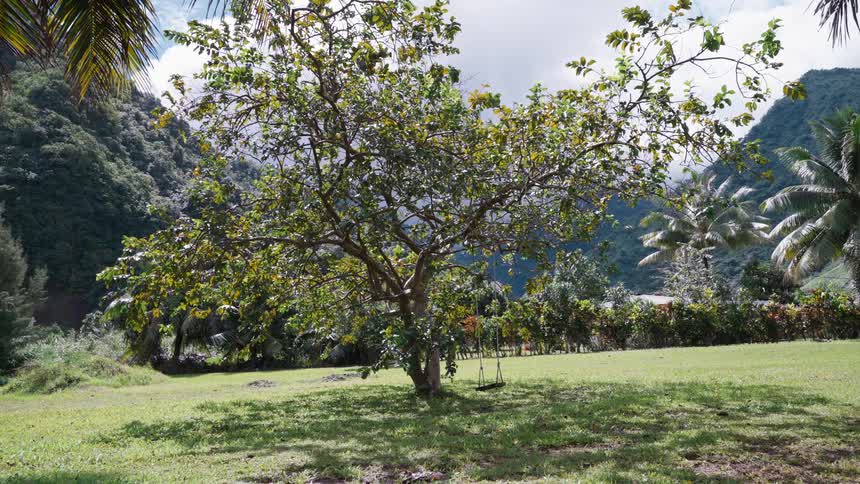 A serene view of a solitary tree with a swing in a lush green valley surrounded by tropical mountains