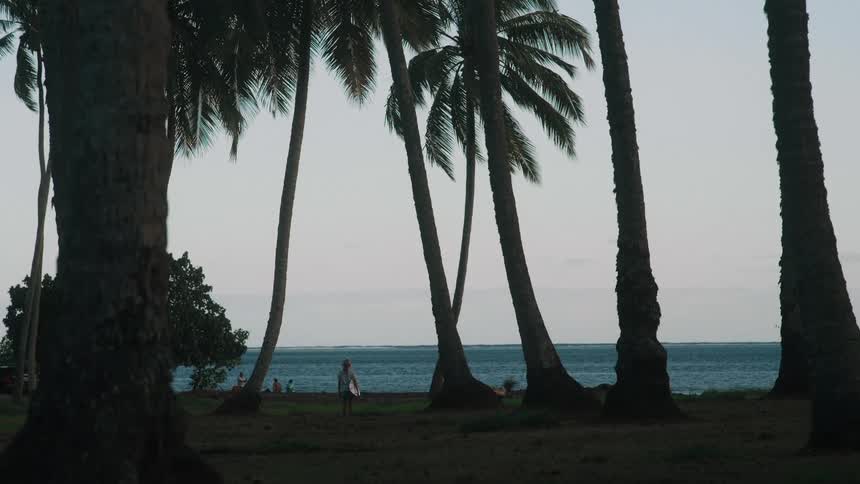 A lone surfer stands with her surfboard in a grove of silhouetted palm trees, gazing at the ocean as dusk approaches