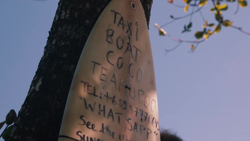 A weathered surfboard with a handwritten advertisement for a local taxi boat service leans against a tree in Teahupoo