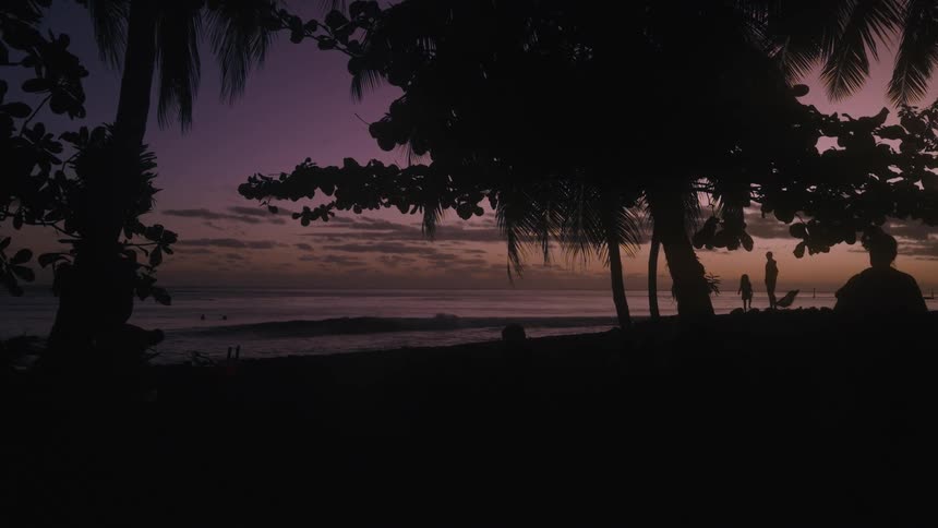 Silhouettes of people and palm trees line a tropical beach against a beautiful purple and orange sunset sky over the ocean