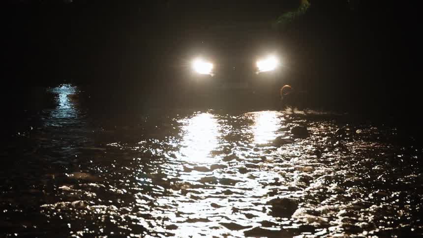 A dog is silhouetted by approaching car headlights as it wades through a flooded river at night