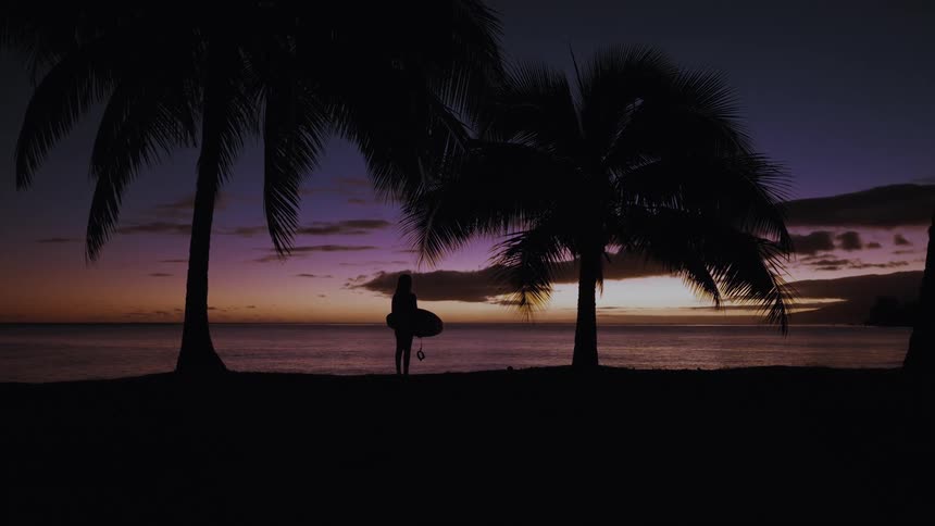 A silhouetted surfer holding a surfboard stands between two palm trees on the beach, watching the vibrant purple and orange sunset over the calm ocean
