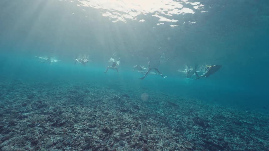 From below the surface, a group of surfers float on their boards in the sunlit ocean, waiting patiently