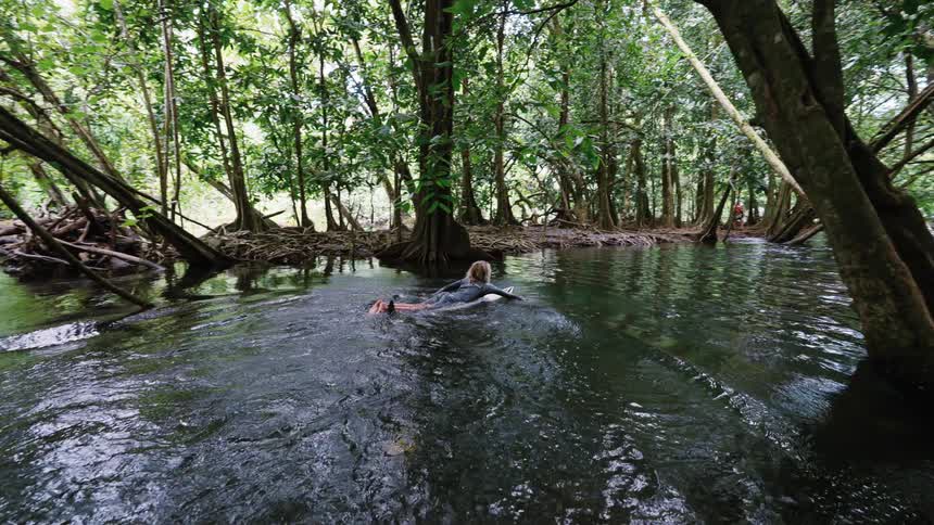 A young surfer in a wetsuit jumps onto his surfboard and paddles down a serene jungle river in slow motion