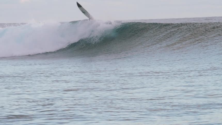 A lone surfer riding a powerful ocean wave gets thrown off their board in a dramatic wipeout captured in slow motion