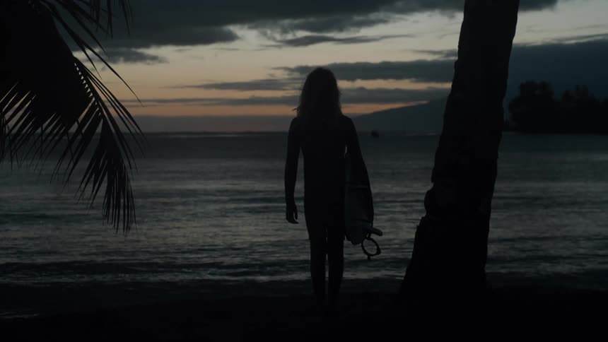A silhouetted surfer stands on a tropical beach at twilight, holding a surfboard and gazing at the ocean waves