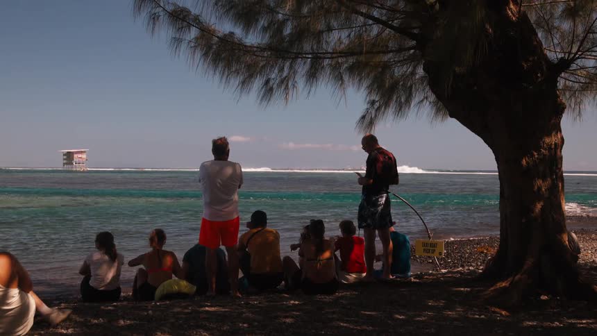 A group of spectators and a dog relax in the shade of a tree on a tropical beach, watching the distant ocean waves
