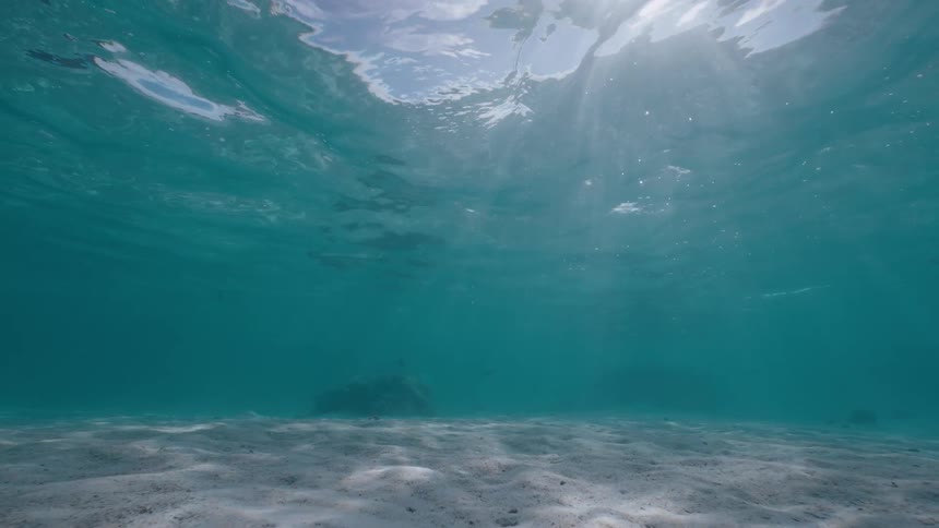 Sunlight streams through the turquoise ocean surface, illuminating the sandy seafloor in a serene underwater scene