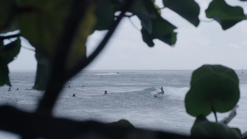 A surfer expertly rides a long wave as seen through the leaves of a tree in slow motion