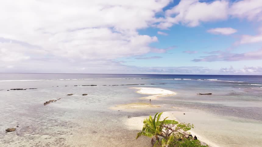 Aerial drone footage glides past a leaning palm tree to reveal a stunning tropical sandbar and a lone person walking in the shallow turquoise ocean