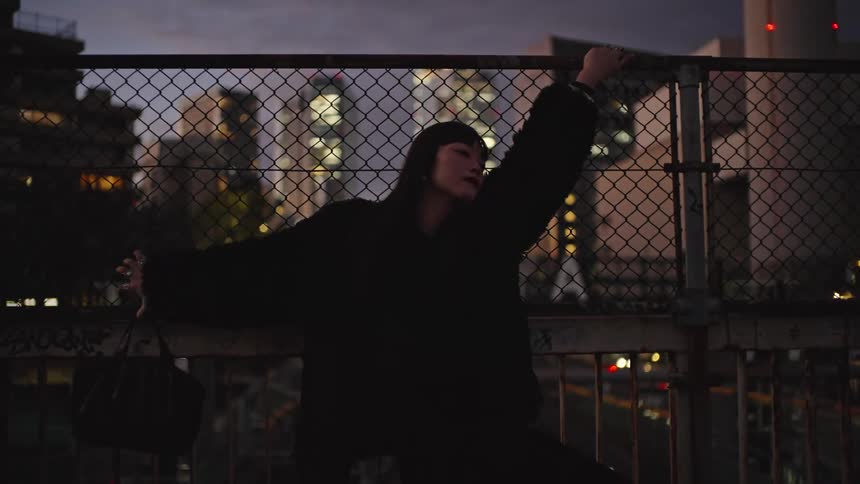 An edgy young woman poses against a chain-link fence on a city bridge at dusk with the skyline in the background