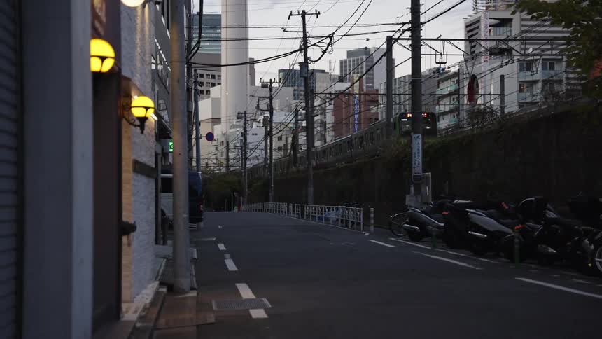 A commuter train travels along elevated tracks above a quiet urban street in Tokyo at dusk as a woman walks away