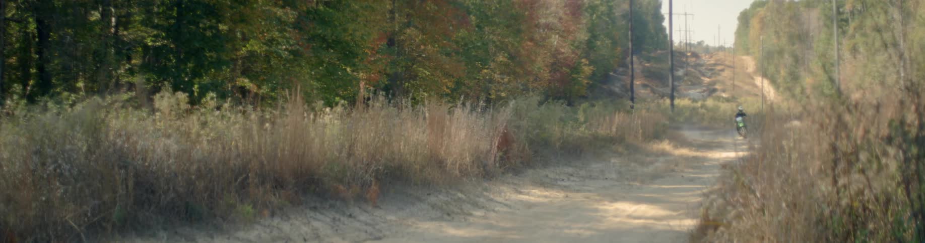 Dirt road next to some woods
