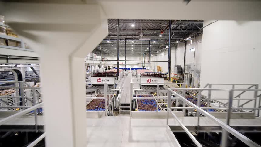 A smooth pullback shot reveals a massive, modern, and automated food processing factory with complex conveyor belt systems