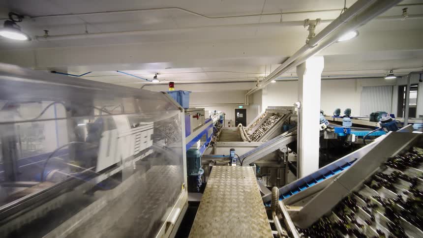 A wide pull-back shot reveals an industrial food processing plant with multiple conveyor belts and machinery sorting fresh cherries