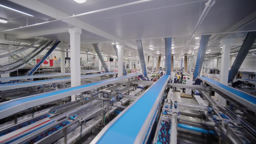 An expansive, high-angle view tracking through a busy industrial food packaging facility with a complex network of automated conveyor belts and assembly lines