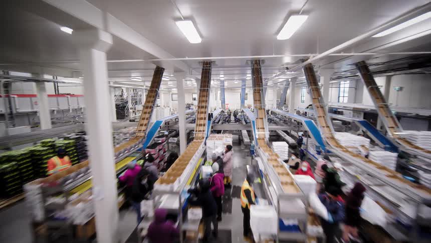 Dynamic tracking shot through a large, modern, and automated food processing and packaging factory with workers at their stations