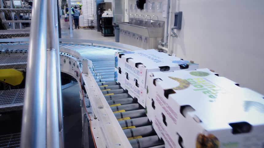 Cardboard boxes travel along an automated roller conveyor belt inside a modern factory
