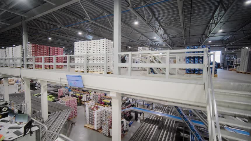 Workers oversee a complex, multi-level automated conveyor system in a large Canadian food packaging facility