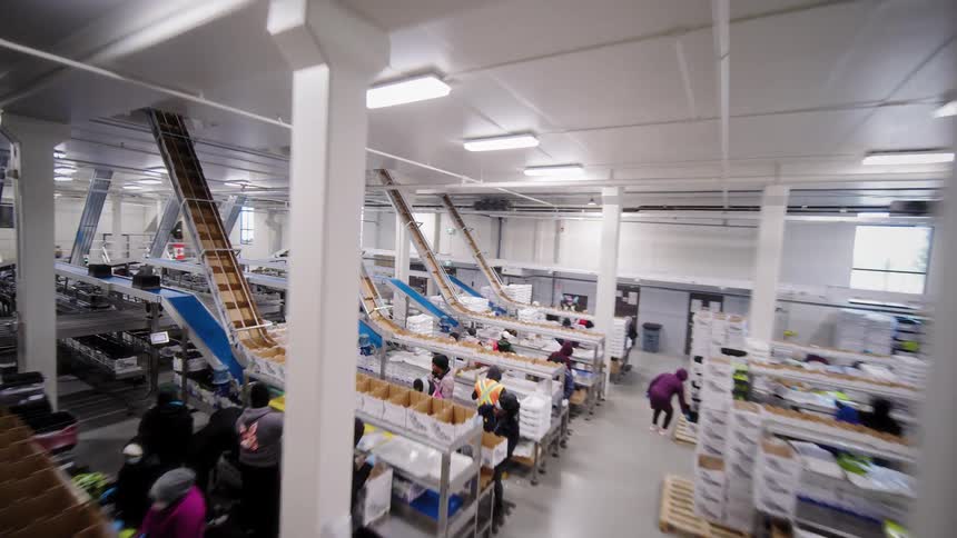 A sweeping aerial tour of a large, modern food processing and packaging warehouse where workers sort products along a complex system of conveyor belts