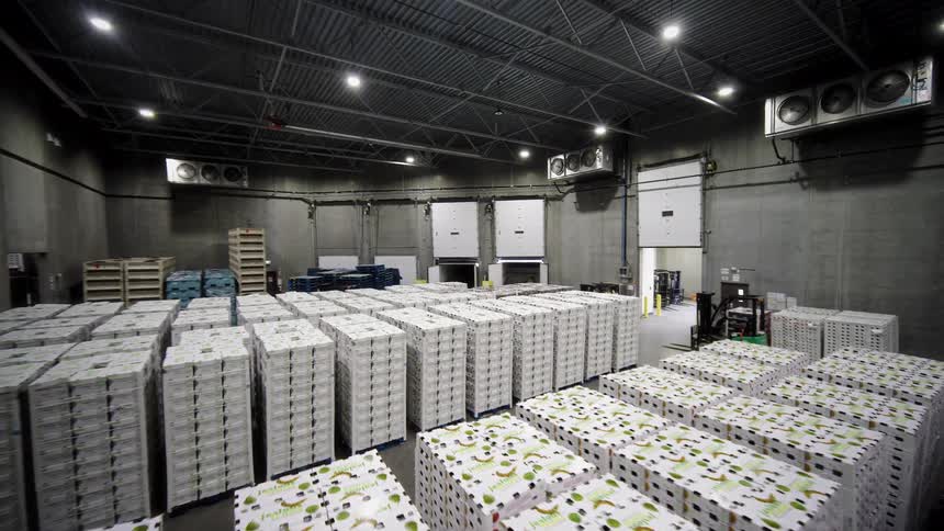 A wide view of a large, refrigerated warehouse filled with pallets of fresh produce ready for shipping
