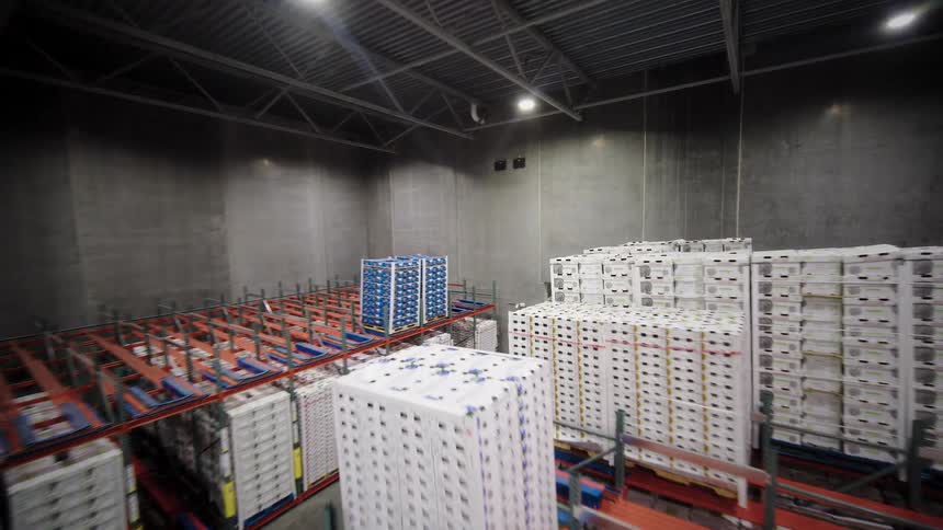 Aerial dolly shot flying through a large, modern refrigerated warehouse filled with pallets of produce stacked high on industrial shelving
