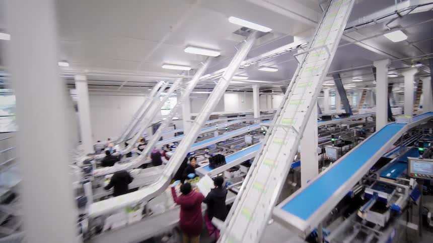 An aerial tour through a modern food processing facility shows automated conveyor belts moving cherries and workers busy on the packaging line