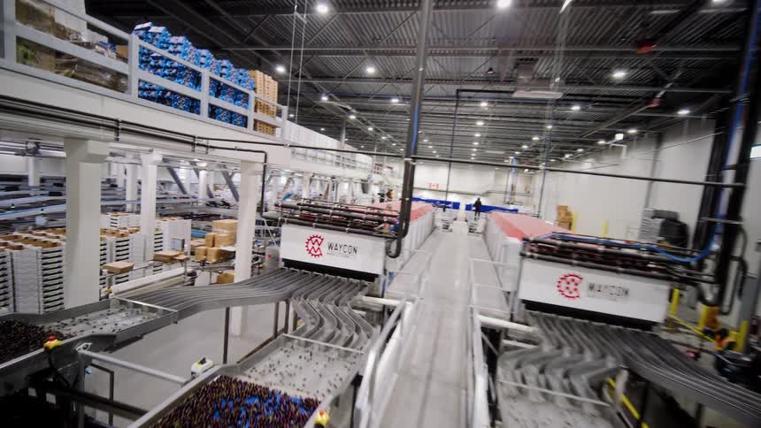 Wide-angle pull-back shot revealing the immense scale of an automated conveyor system in a modern food processing facility
