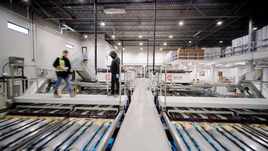A smooth tracking shot moves backwards through a massive, automated food processing plant, revealing the complex network of conveyor belts and sorting machinery