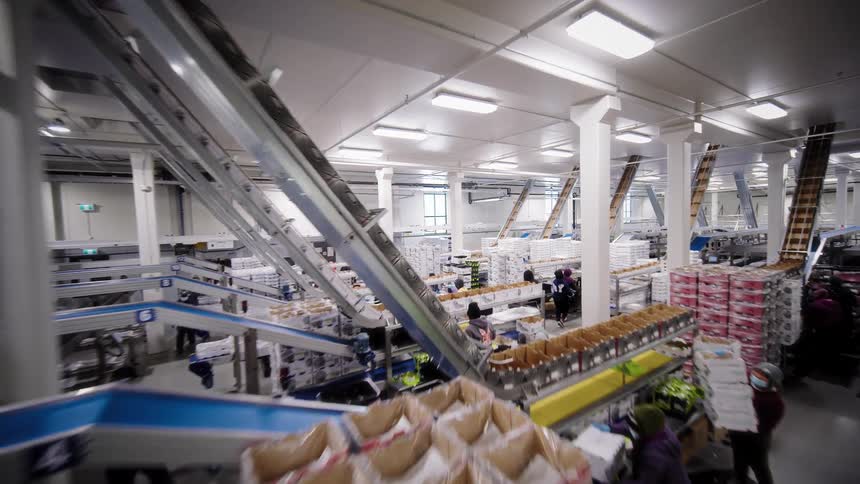 A smooth tracking shot moves through a vast, modern food processing and packaging factory, showcasing the complex automated conveyor belt systems and busy workers