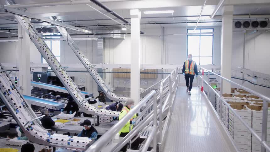 Supervisors walk along an elevated platform overseeing employees working on an automated assembly line in a food processing facility