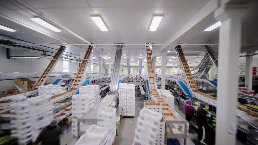 A wide-angle reverse dolly shot reveals a massive, modern food processing facility with multiple conveyor belts and workers sorting produce