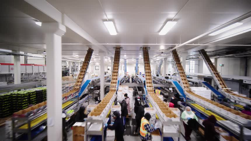 A smooth pullback reveals a vast, modern food processing factory where workers operate complex conveyor belt systems for sorting and packing produce