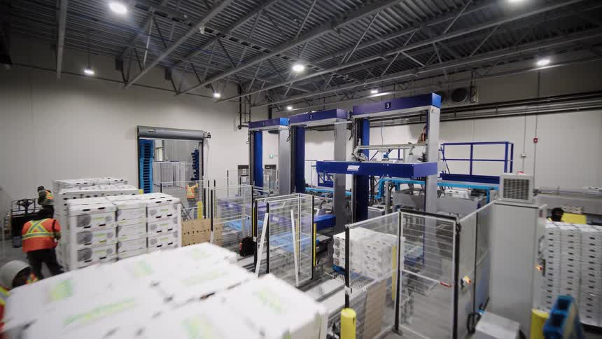 A dynamic walkthrough of a modern food processing plant showing workers, forklifts, and automated packaging lines