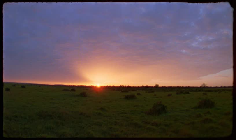 A fisheye view tilts up from a lush green field to reveal a vibrant and colorful sunset on the horizon