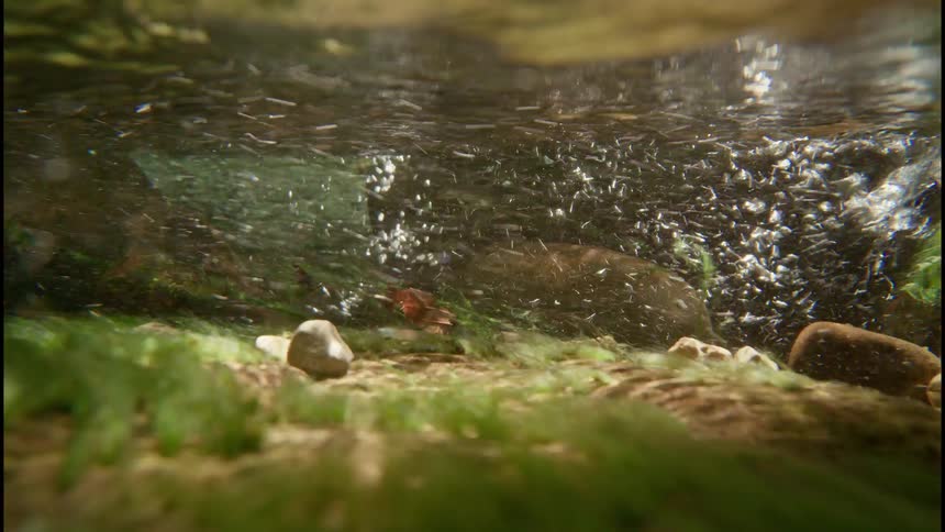 An immersive underwater view of a fast-flowing stream shows turbulent bubbles rushing over mossy rocks on the riverbed