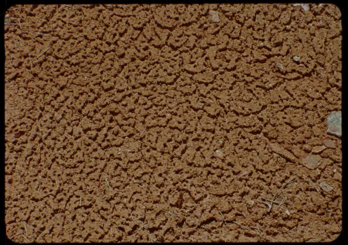 A static, overhead close-up of textured, lumpy, reddish-brown soil
