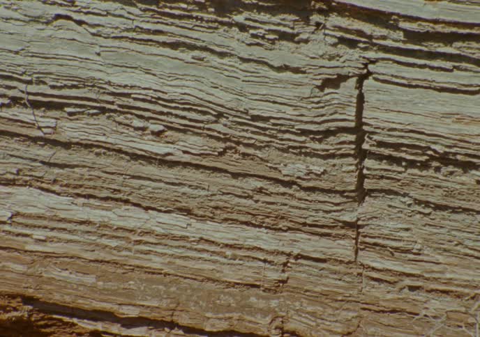 A detailed close-up of a dry, cracked sedimentary rock wall reveals its many thin, horizontal layers
